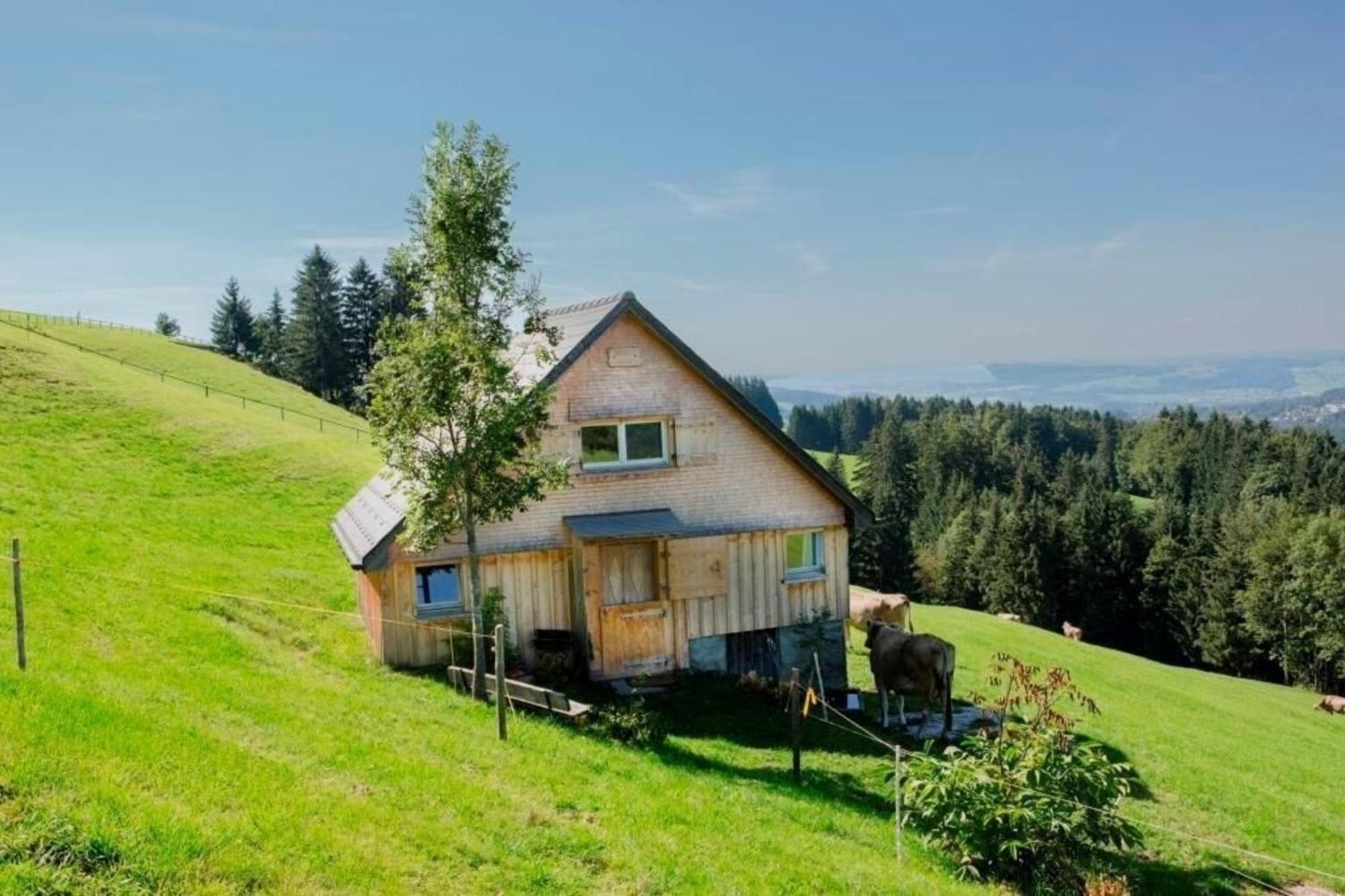 Bauernhof Fendrig - Neue Wohnung Haslen Buitenkant foto