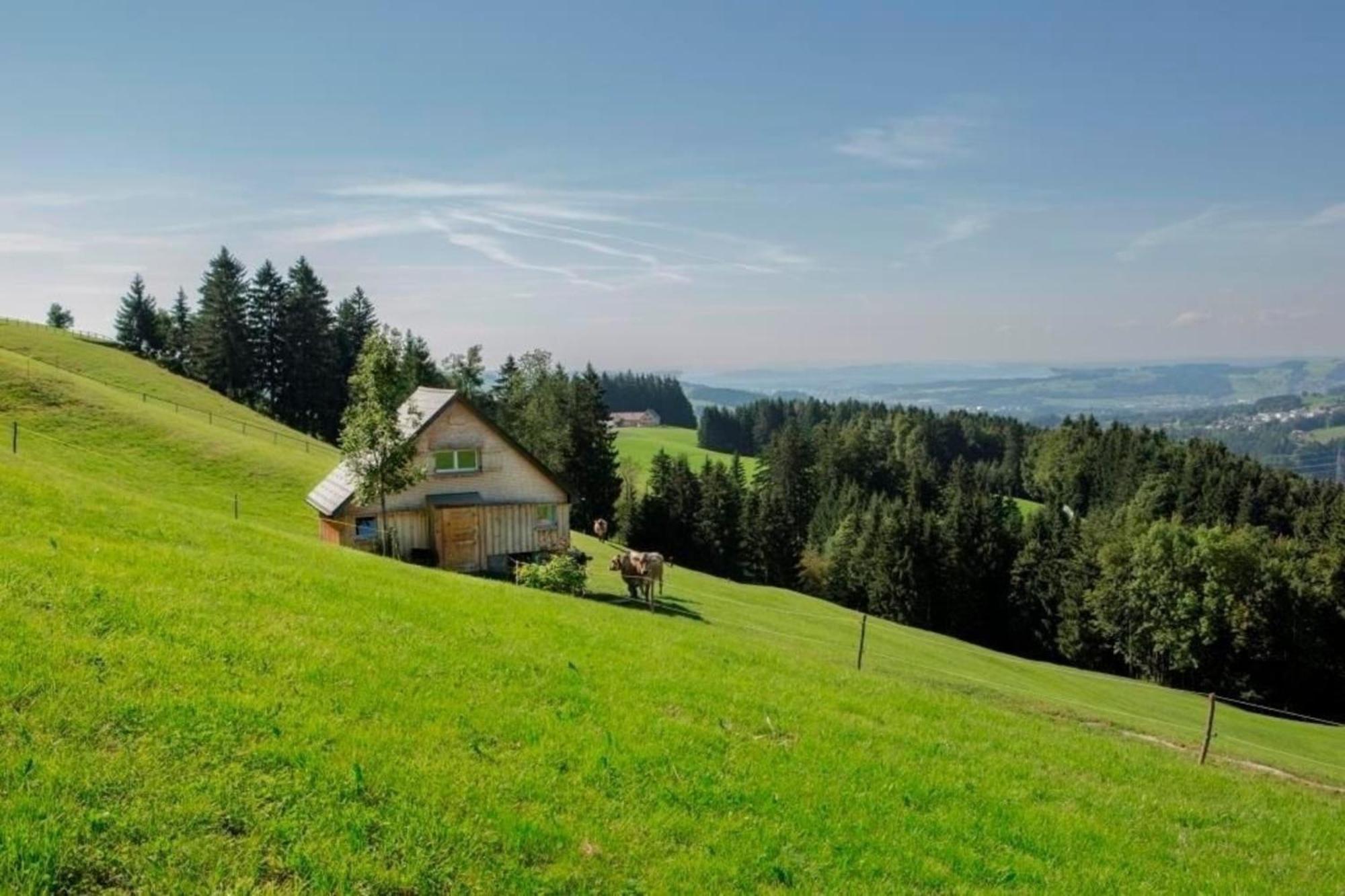 Bauernhof Fendrig - Neue Wohnung Haslen Buitenkant foto