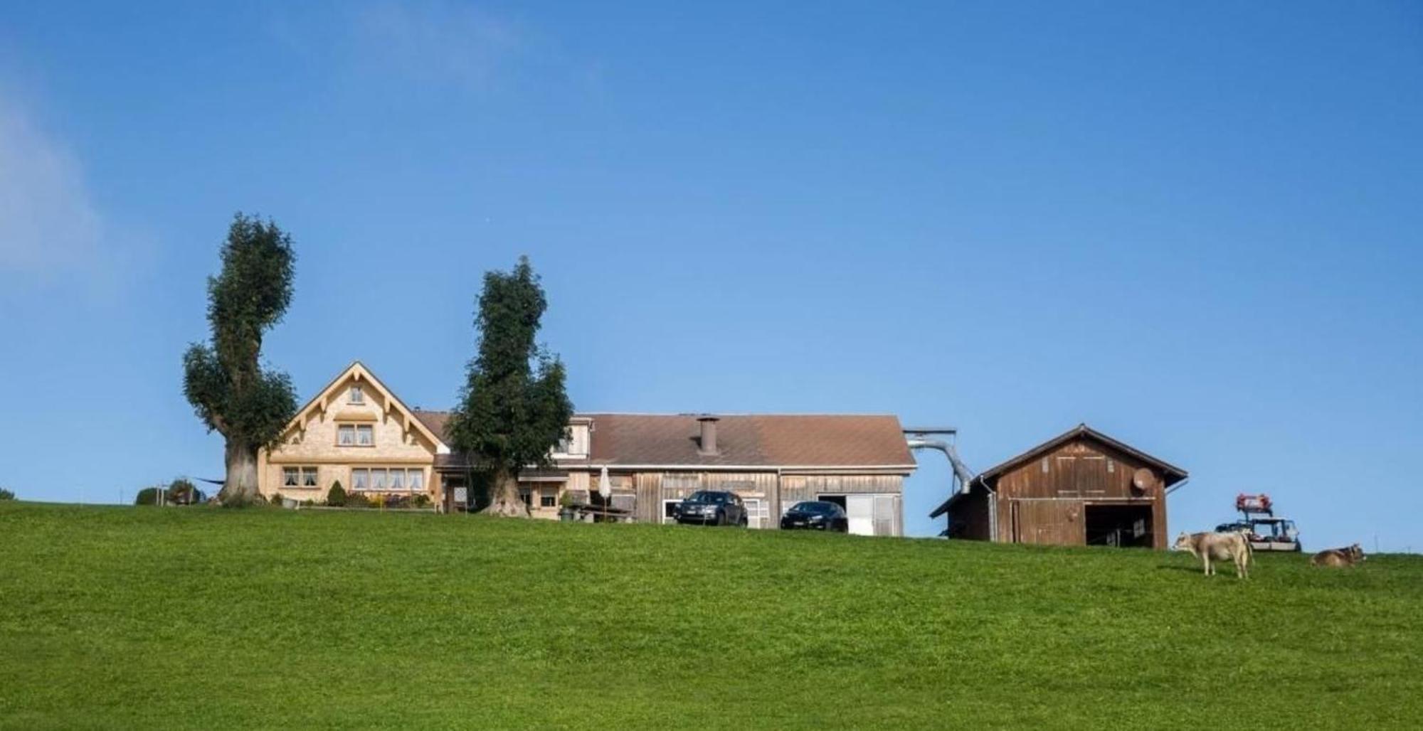 Bauernhof Fendrig - Neue Wohnung Haslen Buitenkant foto