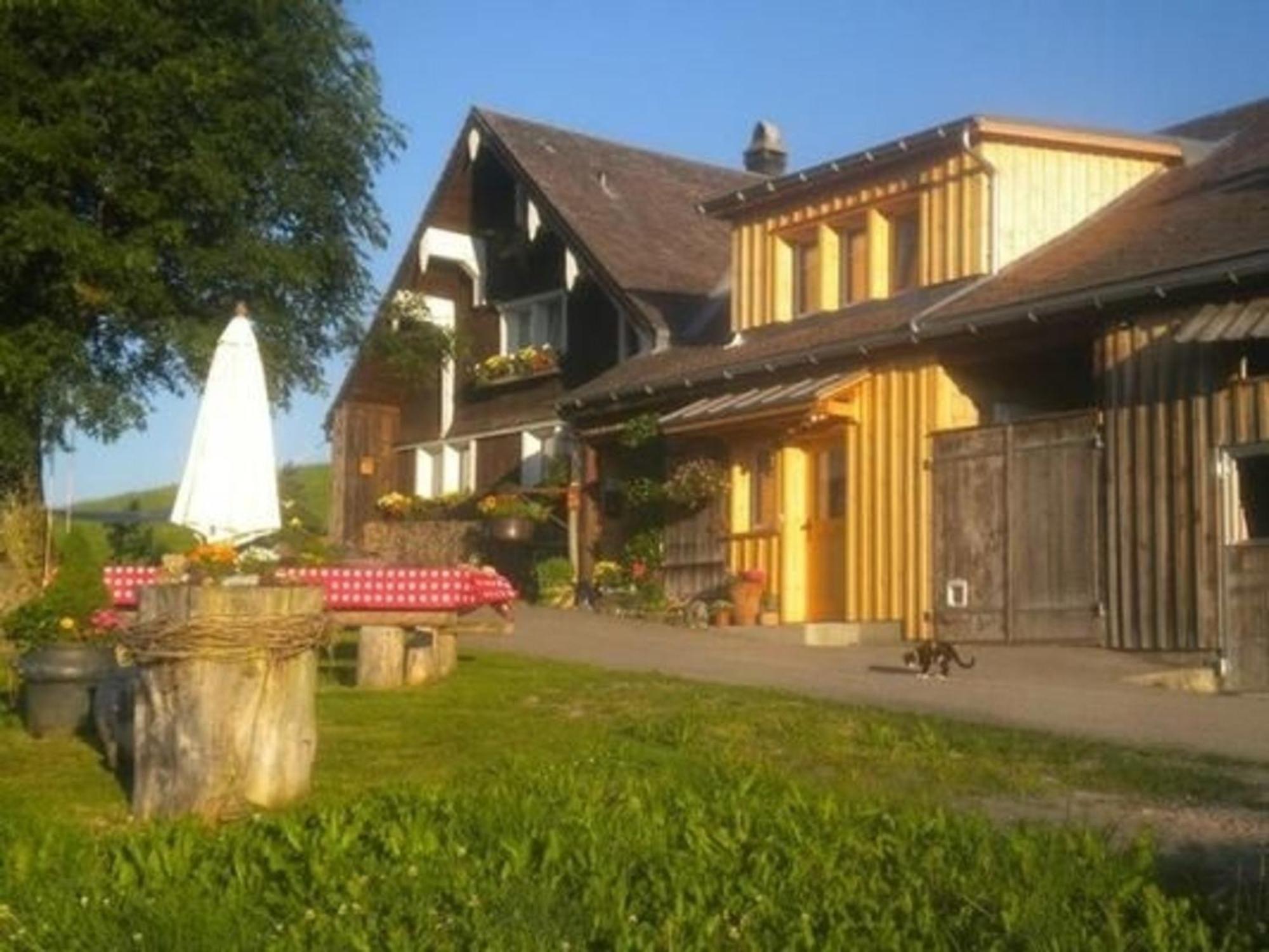 Bauernhof Fendrig - Neue Wohnung Haslen Buitenkant foto