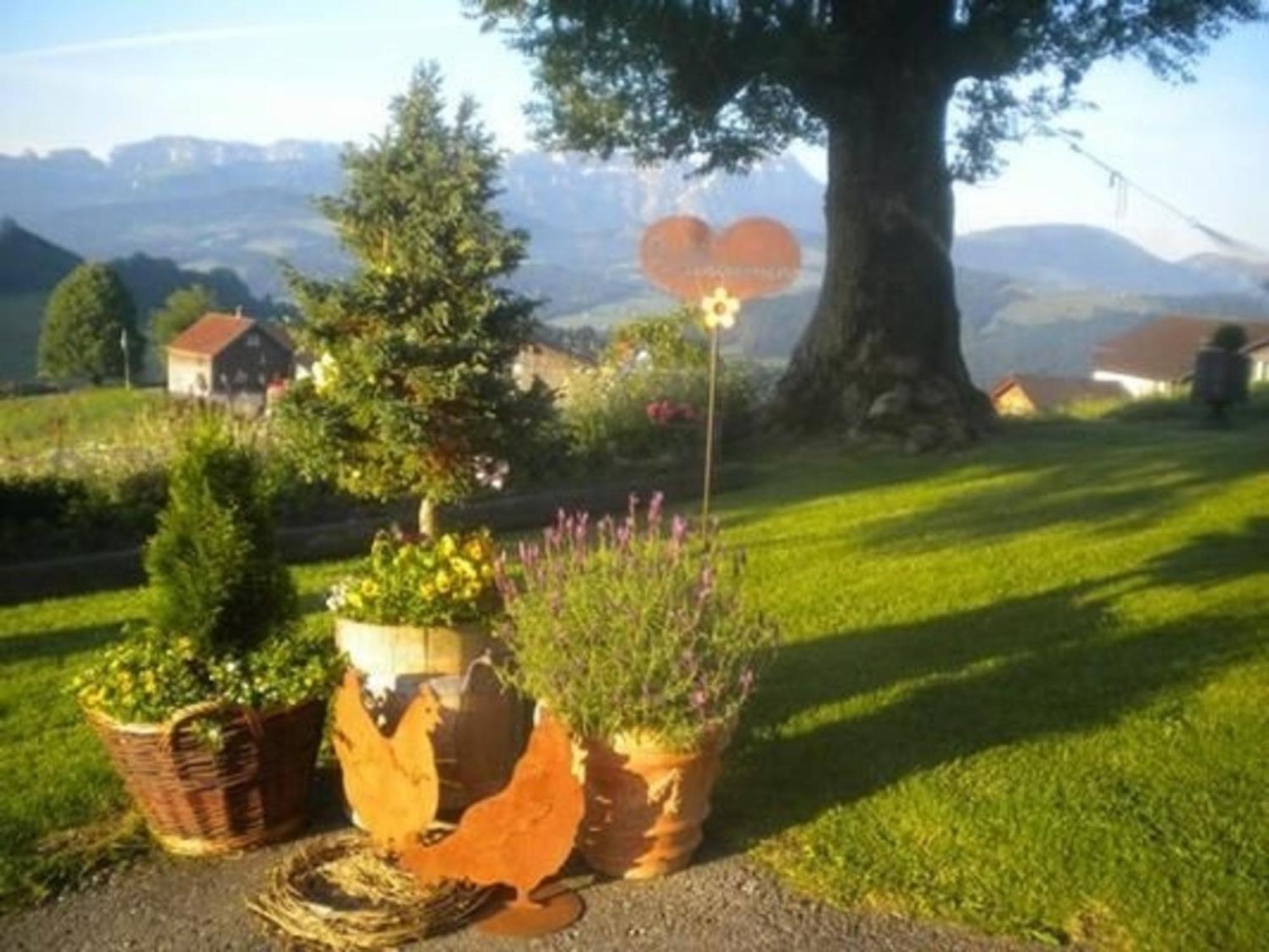 Bauernhof Fendrig - Neue Wohnung Haslen Buitenkant foto